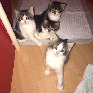 Meet your Posher, Kylie